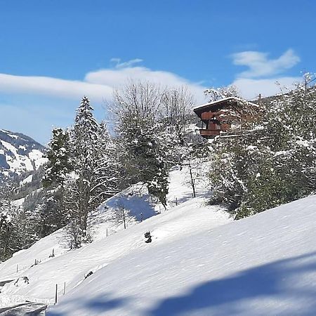 Alpine Cottage With Exceptional View Mayrhofen Kültér fotó